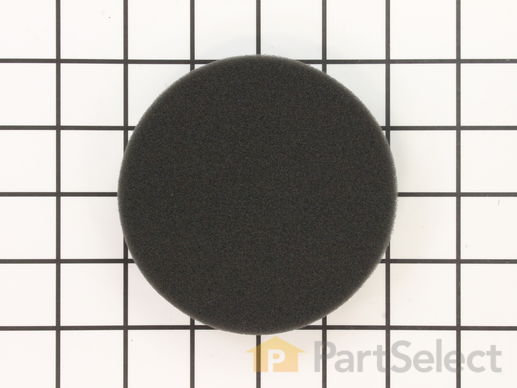 12051897-1-M-Rowenta-RS-RH4908-Filter, Foam
