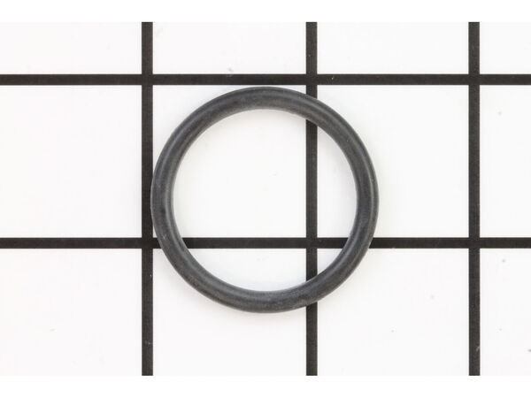 12058262-1-M-Wagner-9871022-O-Ring, 1.109 I.D.X.139 C.