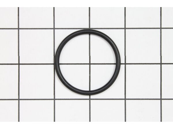 12065374-1-M-Hoover-H-25156524-O-Ring