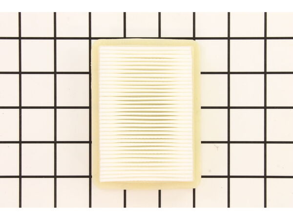12066782-1-M-Hoover-H-40112050-Tank Filter (1 Per)