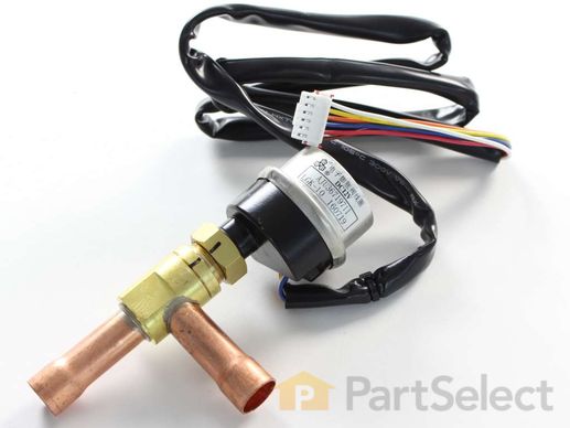 12079478-1-M-LG-AJU36719711-VALVE ASSEMBLY