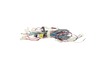 Main Wire Harness – Part Number: DD81-02146A