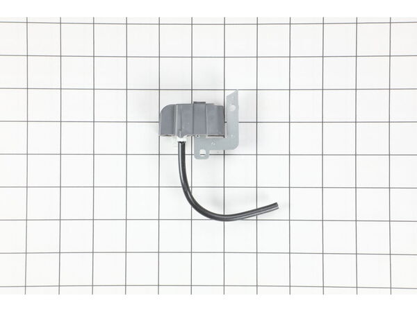 12088756-1-M-Echo-A411000081-Coil, Ignition