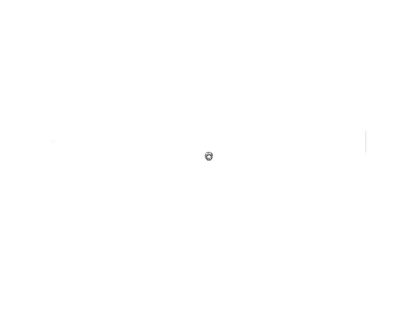 12089581-1-M-Echo-V265000550-Nut 8