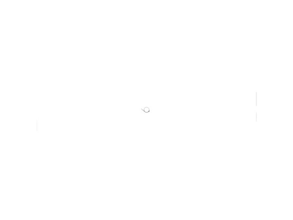 12089641-1-M-Echo-V452001630-Spring, Torsion