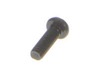 12090533-2-S-Ryobi-089041033089-Screw (M4 X 12 mm)