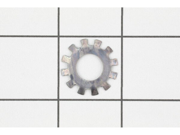 12091213-1-M-Ridgid-636602001-Spring Washer