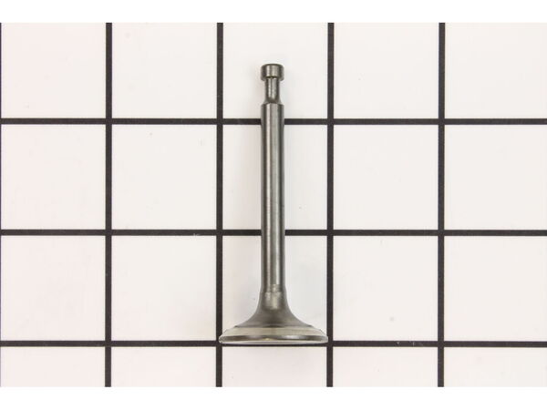 12092385-1-M-Homelite-12111-Z010110-0000-Exhaust Valve