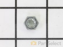 Hex Nut – Part Number: 1350284S