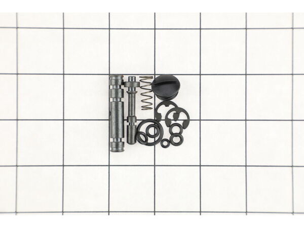 12095895-1-M-Ingersoll Rand-312A-A302-Valve Assembly