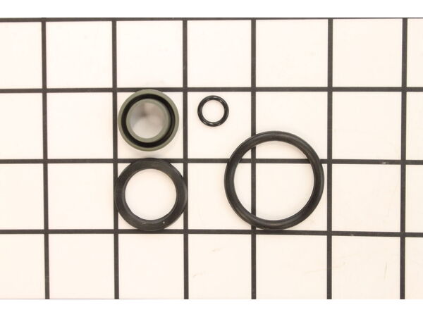 12099229-1-M-Wagner-0530900-Seals and O-Ring Kit