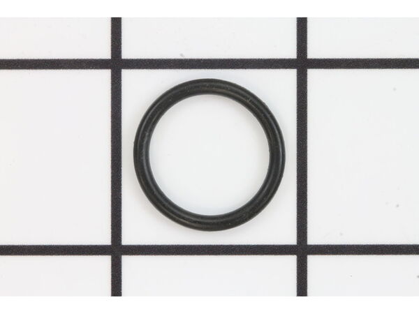 12099243-1-M-Wagner-9871013-O-Ring