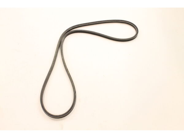 12116562-1-M-Murray-37X72MA-Belt