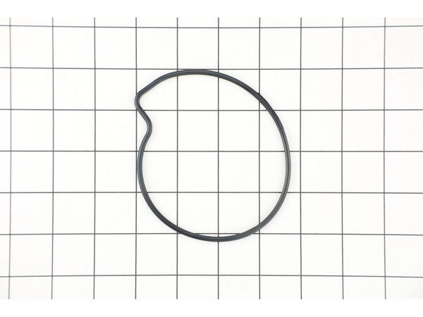 12128875-1-M-Honda-19222-ZG5-L01-O-Ring, Water Pump
