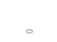 Ring Gear – Part Number: N156100