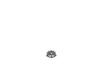 12145215-2-S-DeWALT-N375865-Gear Assembly
