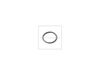 Gasket – Part Number: E-81482