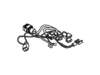 HARNESS FF LOWER – Part Number: WR23X25746