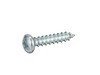 12227878-2-S-GE-WR01X27336-Screw ph st 3.9x19
