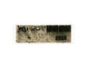12295367-3-S-GE-WB27X29605-OVEN CONTROL T012 WHITE LED