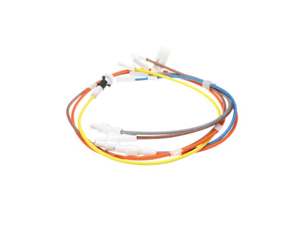 12296162-1-M-GE-WB18X28729-Electrodes And High Voltage Harness