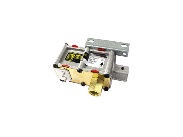 12296734-1-M-GE-WB21X28835-SAFETY VALVE DUAL