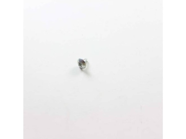 12343304-1-M-GE-WH02X26927-CAPACITOR SCREWS