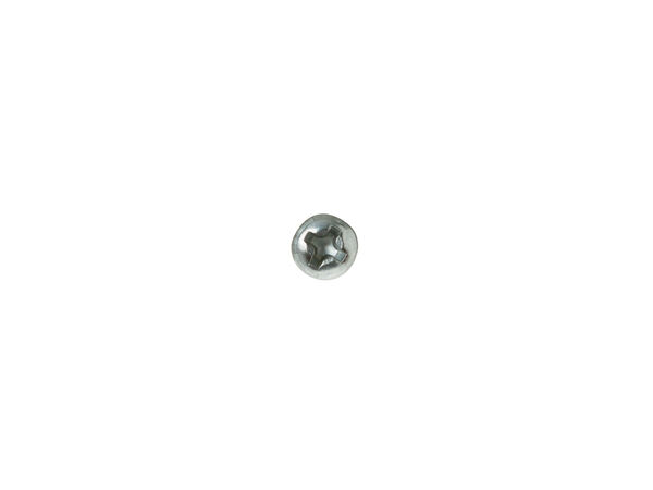 12343309-1-M-GE-WH02X27135-THERMOSTAT SCREW