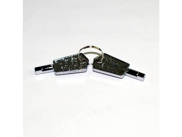 12344711-1-M-GE-WR01X29917-DOOR KEY