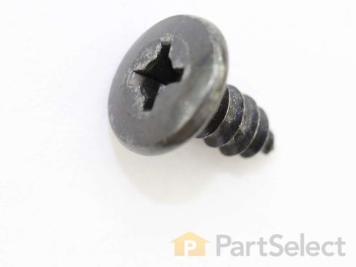 12348099-1-M-Whirlpool-W11169708-SCREW
