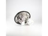 12348554-2-S-Whirlpool-W11178672-Pump & Motor