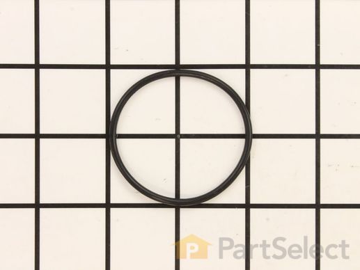 12400997-1-M-DeWALT-174067-O-RING-45.7MMX2.62MM