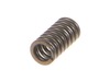12420237-2-S-DeWALT-174051-SPRING-COMPRESSION