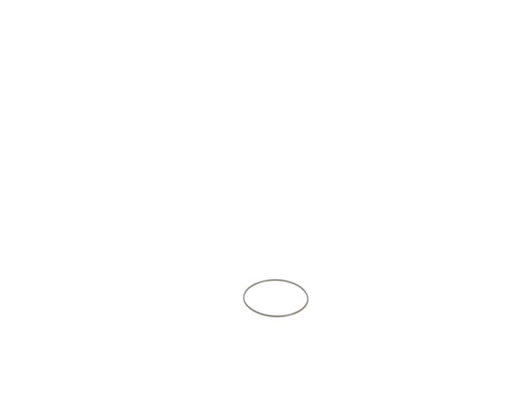12466920-1-M-DeWALT-9R199440-O-RING
