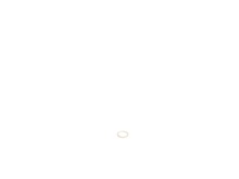 DUST SEAL – Part Number: N416160