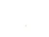 12512353-3-S-DeWALT-9R203869-CONTACT FOOT-NO MAR