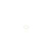 PISTON RING – Part Number: 9R209763