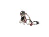 12577531-3-S-GE-WD21X24096-WIRE HARNESS ASSEMBLY WITH HIGH LIMIT THERMOSTAT