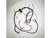 Wire Harness – Part Number: W11246728