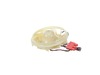 12581260-3-S-LG-EAU36179303-Refrigerator Evaporator Fan Motor