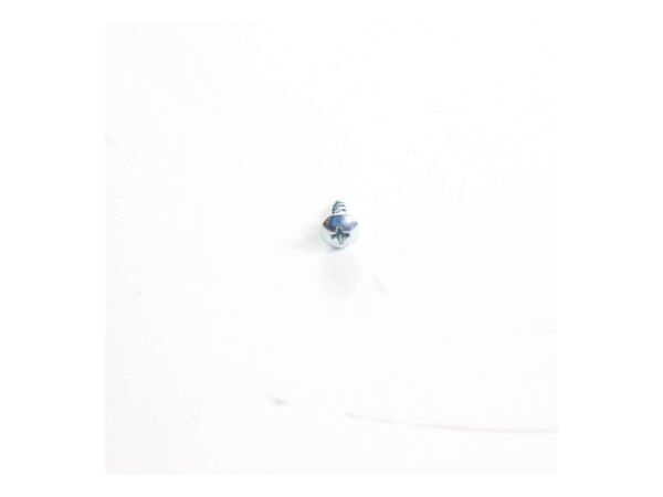 12583108-1-M-GE-WR01X28395-SCREW ST3.9 X 12