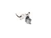 12584484-3-S-Whirlpool-W11266444-Pumpwater