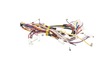 HARNESS – Part Number: 5304517510