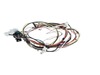 12585781-3-S-Frigidaire-5304517938-HARNESS