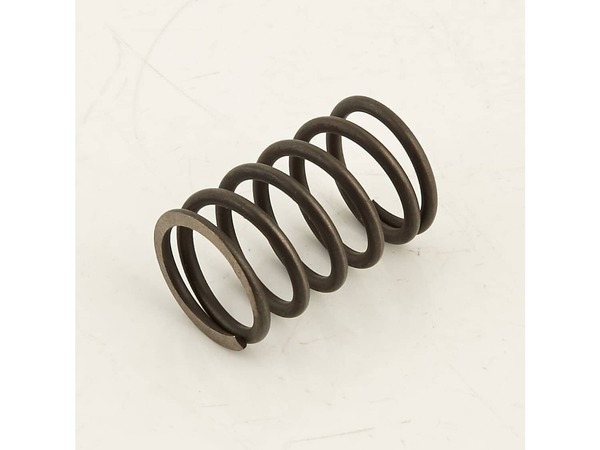 12598281-1-M-Generac-0G84420124-Spring valve
