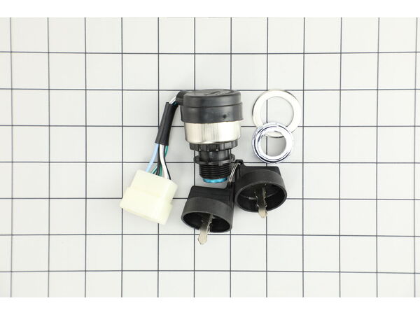 12612886-1-M-Briggs and Stratton-318307GS-Switch-key