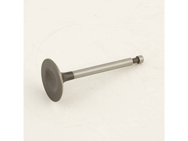 12623038-1-M-Generac-0J58620123-Valve; intake