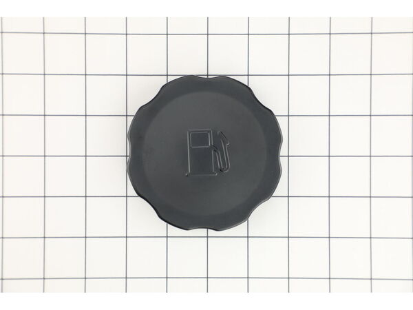 12628169-1-M-Briggs and Stratton-319587GS-Cap-fuel