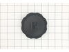 Cap-fuel – Part Number: 319587GS