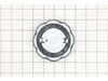 12628169-2-S-Briggs and Stratton-319587GS-Cap-fuel